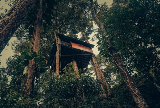 Ela Ecoland Nature Retreat 