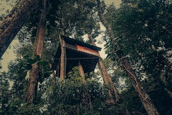 Ela Ecoland Nature Retreat , Munnar