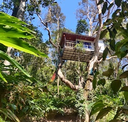 Tree House