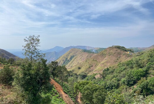 Grand Home Stay