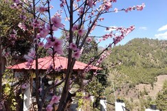 Sukoon by Saanjh Stays, Ranikhet