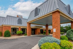 Spark by Hilton Staunton, Augusta