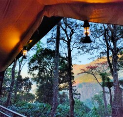 Superior Balcony