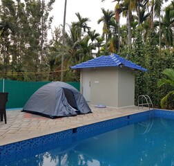 Swimming Pool 1
