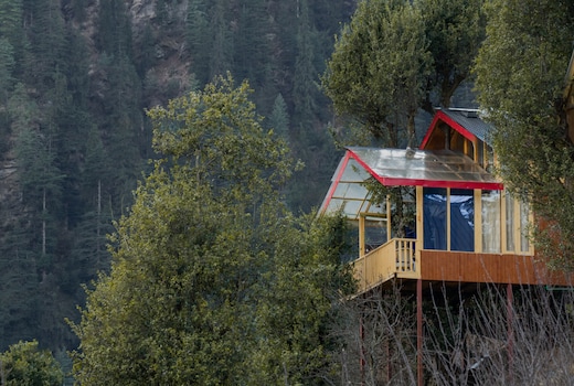 Bastiat Stays | Enchanting Treehouse Sky Jacuzzi