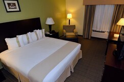 Holiday Inn FORT MYERS - DOWNTOWN AREA, Lee, Florida