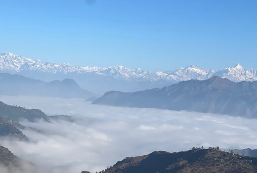 Deodar Abode
