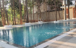 Swimming Pool 1