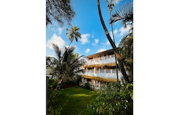 Arecan Palm, Alibaug