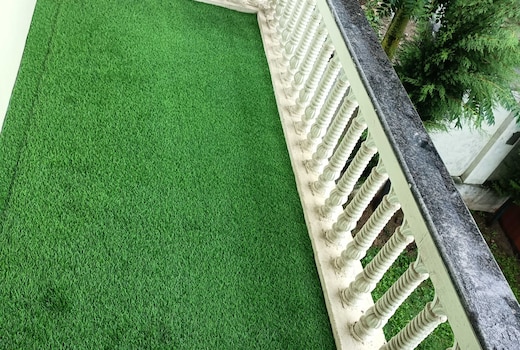 Hotel O Home Rose Petal