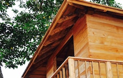 Wooden Chalet Strobus