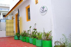 Yaazh stayz, Kodaikanal