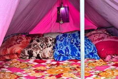 Kedarnath camp, Guptkashi