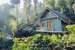 Falling Water Resort by Travent Mug, Sakleshpur