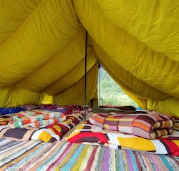 Bed In Dormitory  Tent