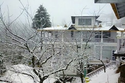 Te Aroha by Shervani, Mukteshwar