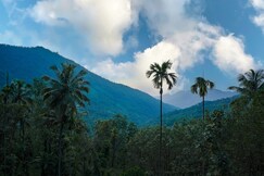 Coffee Mount Homestay Near Paithalmala, Talipparamba