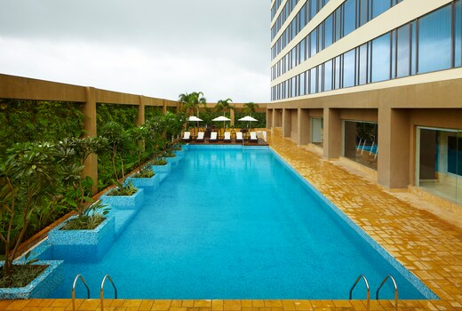 Rooftop Pool