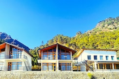 Silverfern by the hill side, Nainital