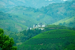 Whitestone Hill Top Private Cottage Vagamon by VOYE HOMES, Vagamon
