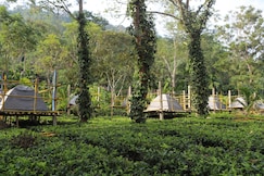 Camp Nampi, Bokakhat