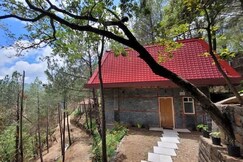 Pinewood Nirvana Jungle Resort, Shimla