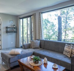 Living Room 1