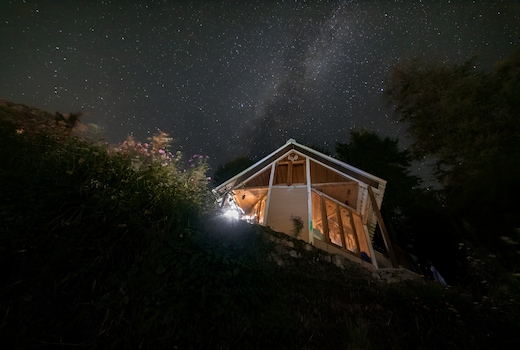 Moonflower  by Norwegian Wood  Cafe in Jibhi