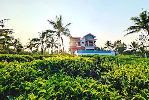 Howling Wolf - 3 BHK