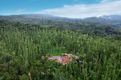 Jungle Greens Homestay | Located Amidst the Lush Coffee Plantation, Chikmagalur