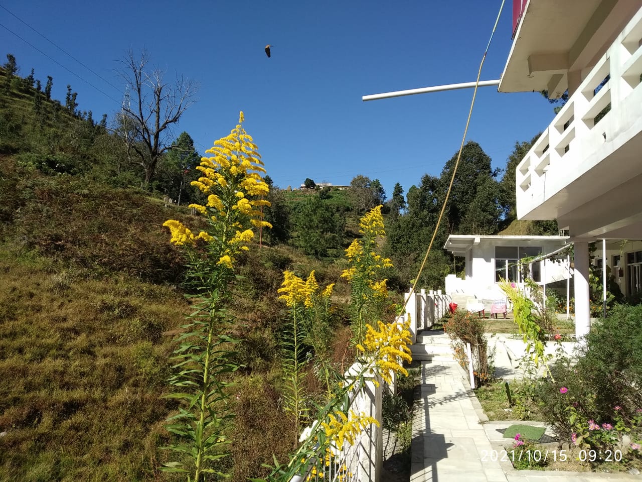 Jageshwar Inn - Tap to explore photos
