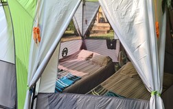 Camps