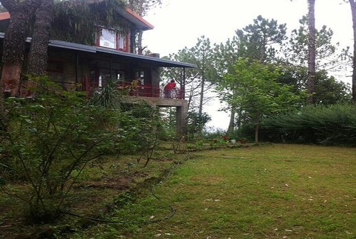 Rambling Rose Cottage Solan Cottage Price Address Reviews