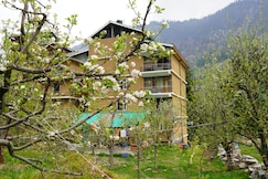 Navaura Stays & Cafe, Old Manali, Manali