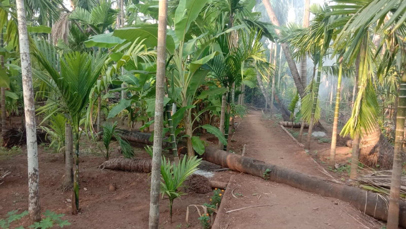 Anurag Family Cottage, Diveagar
