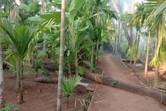 Anurag Family Cottage, Murud Janjira