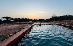 Swimming Pool 1