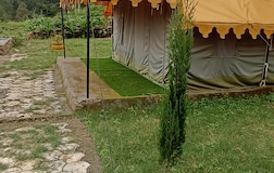 Swiss Camp