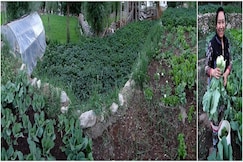  Zeepata Guest House, Leh