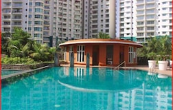 Swimming Pool 1