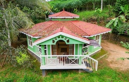Double or Twin Room with View