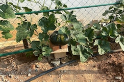 Aayushman Homes 1BHK, Bangalore