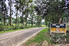 Royal Raipur Resort, Baihar