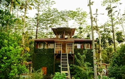 Watch Tower Log House Room