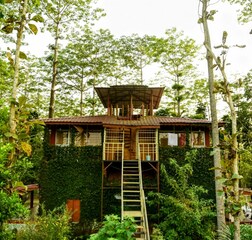Watch Tower Log House Room