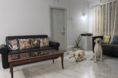 Haru's Nest, Siliguri