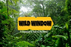 The Wild Window Homestay Thekkady, Thekkady