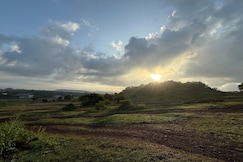 On Promotional Price   Titus s   Coconut Paradise, Goa