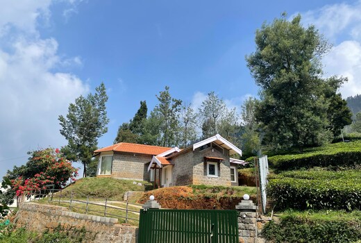 Wisteria cottage
