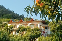 Himalayan Serenity Homestay near Kainchi Dham, Kosya Kutauli